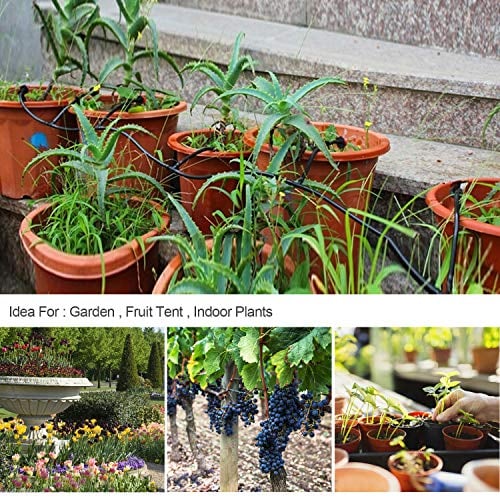 🔥 -Fog Cooled Automatic Irrigation System